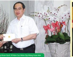 TẬP ĐOÀN QUỐC TẾ NĂM SAO